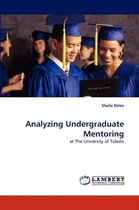 Analyzing Undergraduate Mentoring