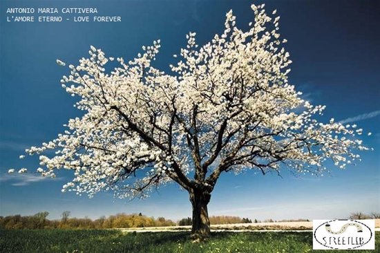 L'Amore Eterno - Love Forever (short stories, thoughts & poe ... - cover