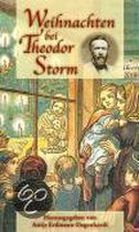 Weihnachten bei Theodor Storm