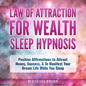 Law of Attraction for Wealth Sleep Hypnosis