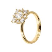 Altissima ring