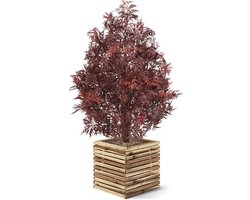 Ming Aralia kunstplant UV 90cm Burgundy
