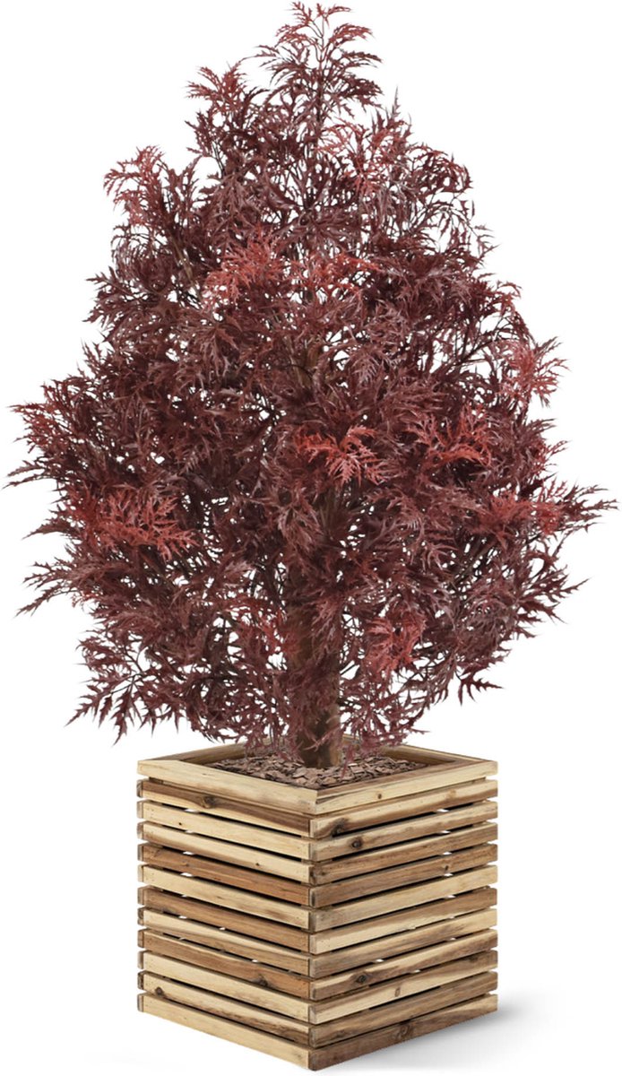 maxifleur Kunstplanten Ming Aralia kunstplant UV 90cm Burgundy Rood
