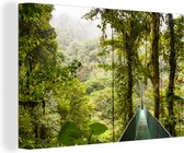 Canvas Schilderij Groene brug tussen de bomen in het Bosque Nuboso Monteverde - 180x120 cm - Wanddecoratie XXL