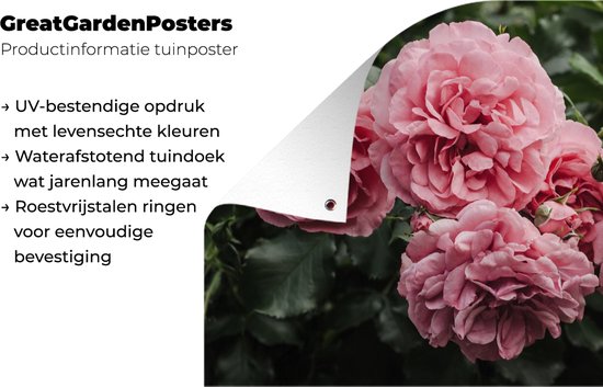 Affiche de jardin rose - Fleurs - Roses - 130x80 cm - Décoration murale extérieure - Affiche de jardin - Toile de jardin - Affiche de clôture - Peinture de jardin