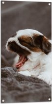 WallClassics - Tuinposter – Gapende Bruin Witte Puppy - 50x100 cm Foto op Tuinposter (wanddecoratie voor buiten en binnen)
