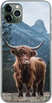Geschikt voor iPhone 11 Pro Max hoesje - Schotse hooglander - Dieren - landschap - Siliconen Telefoonhoesje