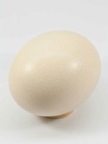 Paasartikelen - Egg Ostrich (struisvogel) Natural