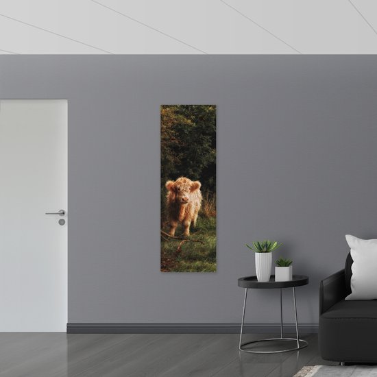 WallClassics - Panneau en mousse PVC – Highlander écossais marron moelleux dans une forêt envahie – 50 x 150 cm Photo sur panneau en mousse PVC (avec système de suspension)