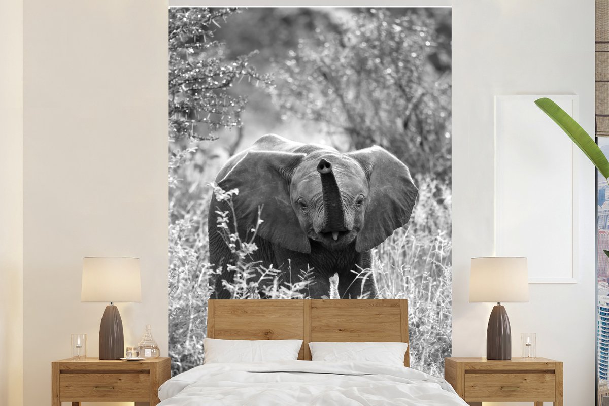 Behang - Fotobehang Blije baby olifant in Zuid-Afrika - zwart wit - Breedte 225 cm x hoogte 350 cm
