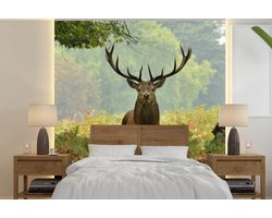 Behang - Fotobehang Edelhert - Natuur - Groen - Breedte 220 cm x hoogte 220 cm