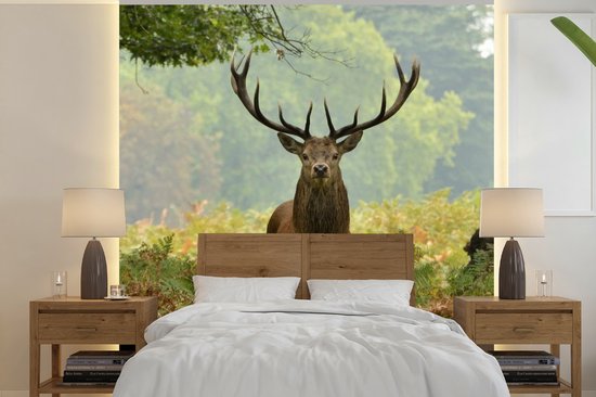 Behang - Fotobehang Edelhert - Natuur - Groen - Breedte 220 cm x hoogte 220 cm