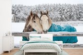 Behang - Fotobehang Paarden - Deken - Sneeuw - Breedte 390 cm x hoogte 260 cm