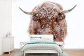 Behang - Fotobehang Schotse hooglander - Sneeuwvlok - Winter - Breedte 450 cm x hoogte 300 cm
