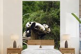 Behang - Fotobehang Panda's - Hout - Trap - Breedte 145 cm x hoogte 220 cm