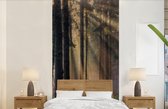 Behang - Fotobehang Bomen - Bos - Zon - Planten - Breedte 120 cm x hoogte 240 cm