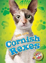 Cool Cats - Cornish Rexes