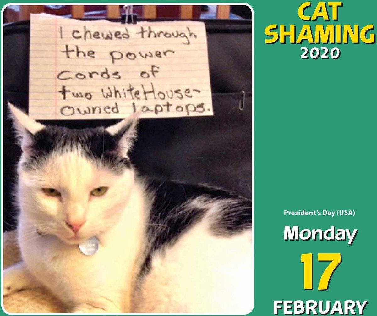 bol-cat-shaming-2020-day-to-day-calendar-andrews-mcmeel-publishing-9781449497682-boeken