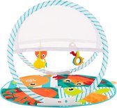 Bol.com Fisher Price Draagbare Gym aanbieding