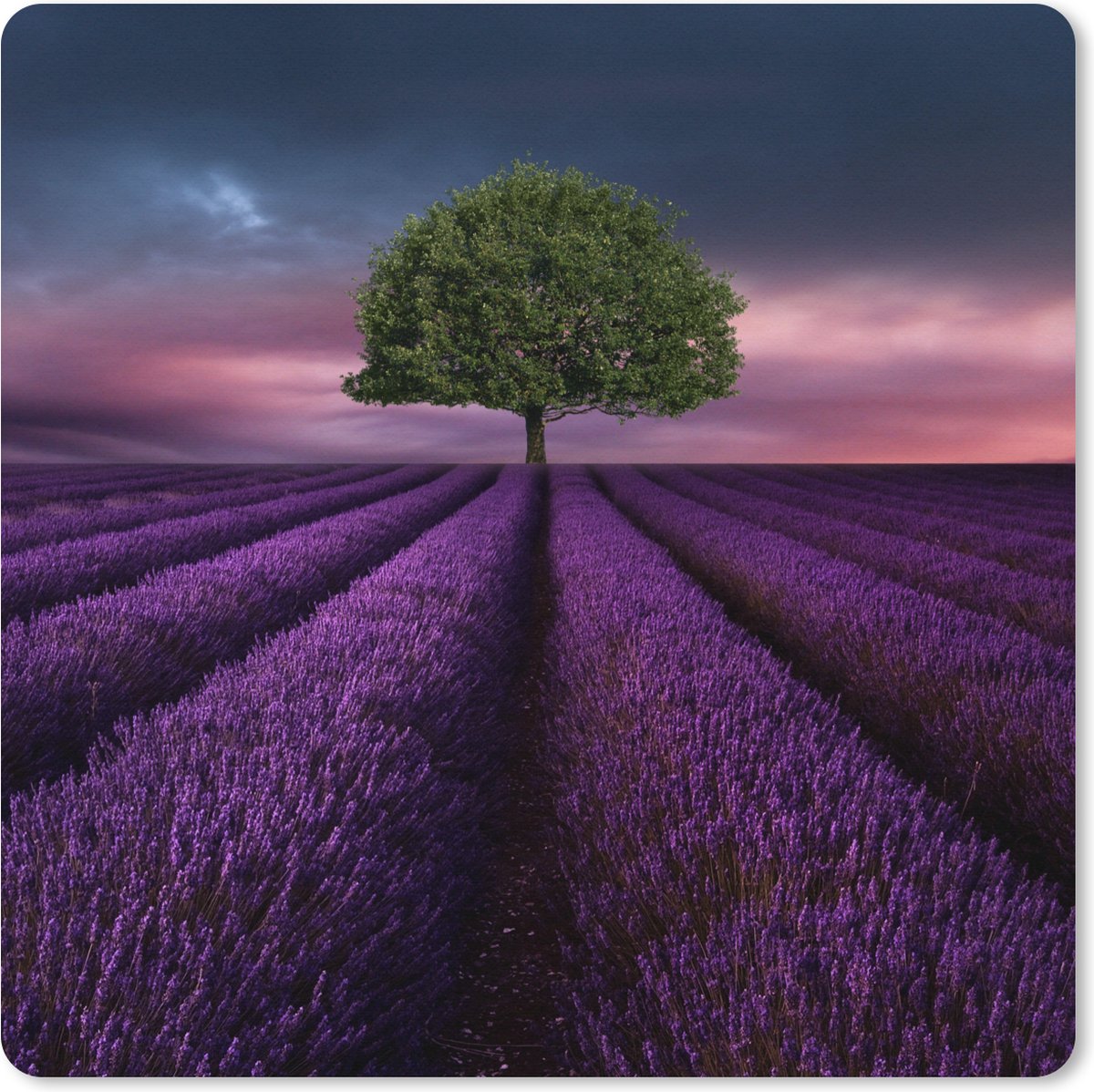 Muismat XXL 40x40 cm - Bureau onderlegger - Bureau mat Lavendel - Boom - Paars - Bureaumat - Gaming mousepad xl - Bureaulegger groot - Computer deskmat