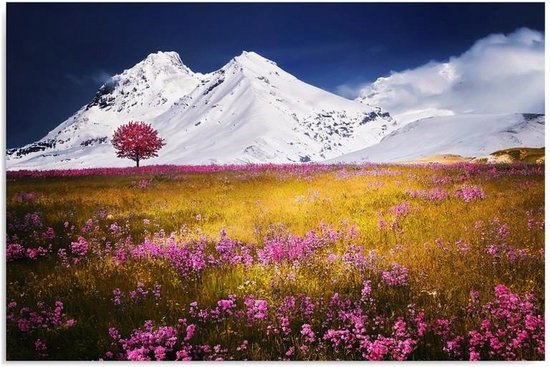 Trend24 - Canvas Schilderij - Alpen - Schilderijen - Landschappen - 120x80x2 cm - Blauw