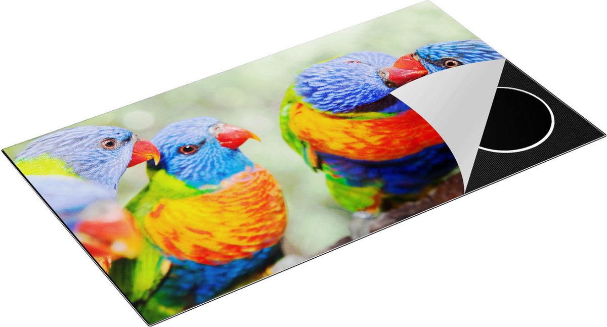 Chefcare Inductie Beschermer Vier Regenboog Lori Vogels op een Tak - 95x55 cm - Afdekplaat Inductie - Kookplaat Beschermer - Inductie Mat