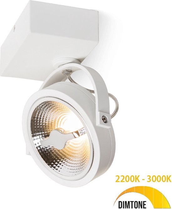 Plafondlamp - Opbouwspot wit - Dimbaar - Draaibaar & kantelbaar - 12W - Dim to warm