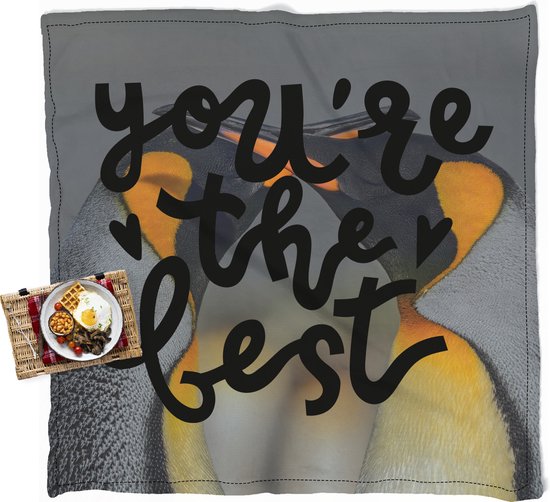 Waterdicht Picknickkleed - Geschikt als Strandlaken / Strandmat - Valentijnsdag tekening pinguïns met de quote ''you're the best'' - 200x200 cm -...