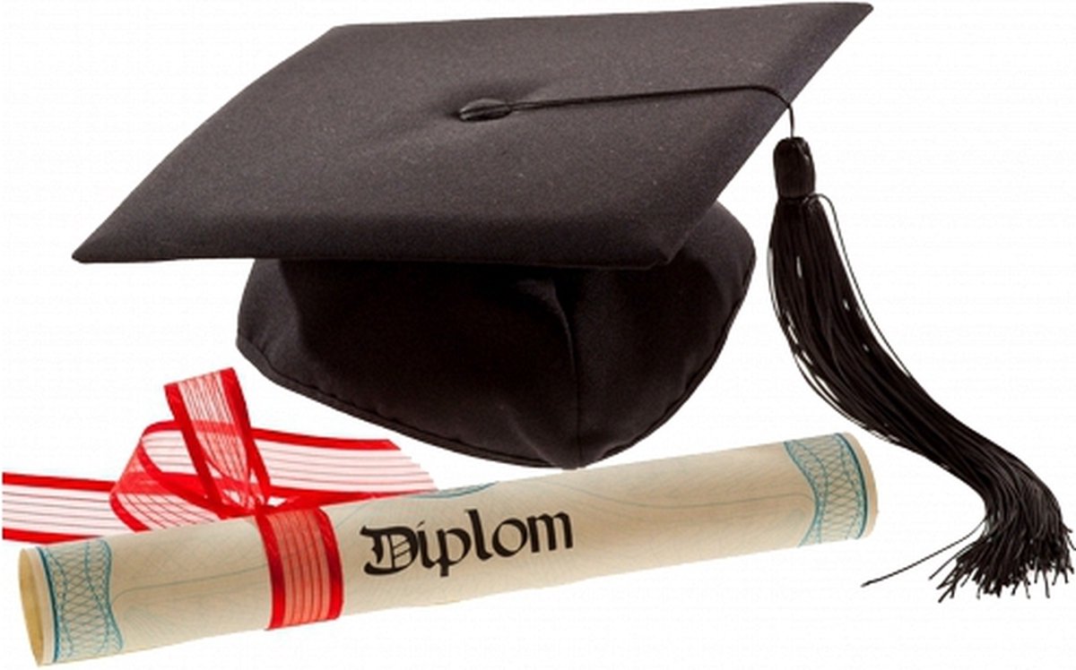 24 chapeaux de graduation de luxe | bol