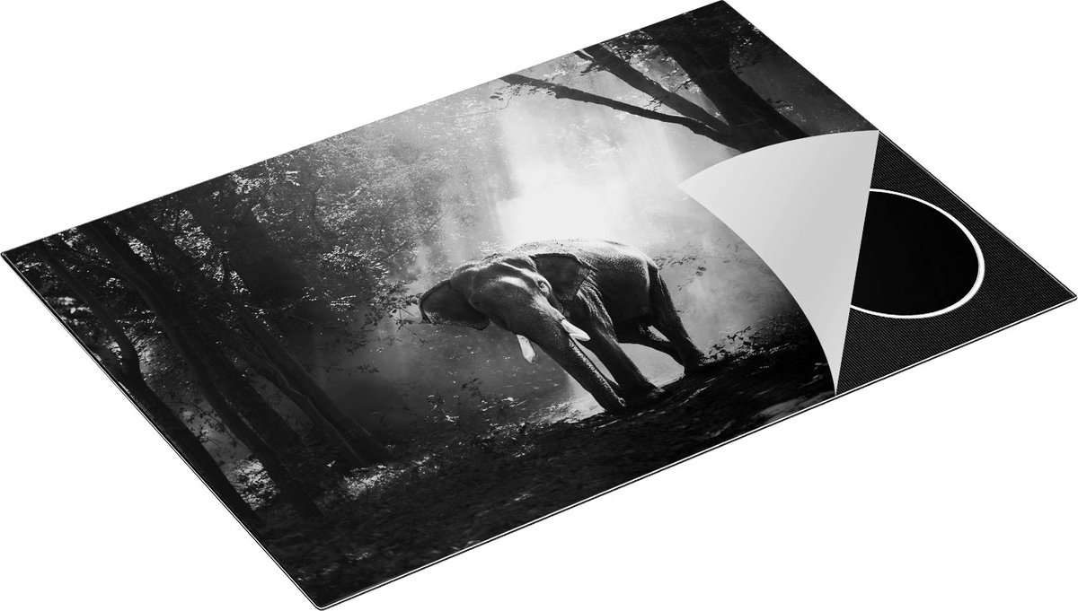 Chefcare Inductie Beschermer Olifant in het Bos met Zonneschijn - Zwart Wit - 75x50 cm - Afdekplaat Inductie - Kookplaat Beschermer - Inductie Mat