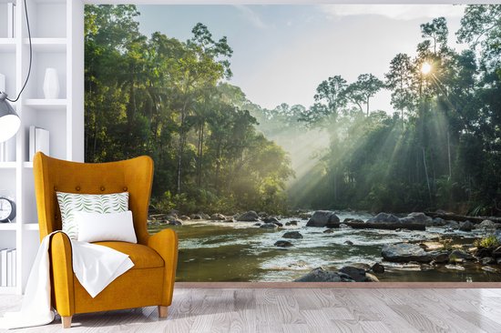 Papier peint vinyle - Le soleil brille sur une rivière dans une forêt malaisienne largeur 390 cm x hauteur 260 cm - Tirage photo sur papier peint (disponible en 7 tailles)