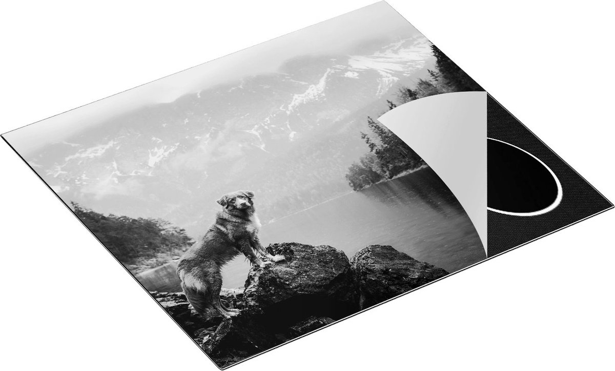 Chefcare Inductie Beschermer Retriever Hond bij het Water in de Bergen - Zwart Wit - 57,6x51,6 cm - Afdekplaat Inductie - Kookplaat Beschermer - Inductie Mat
