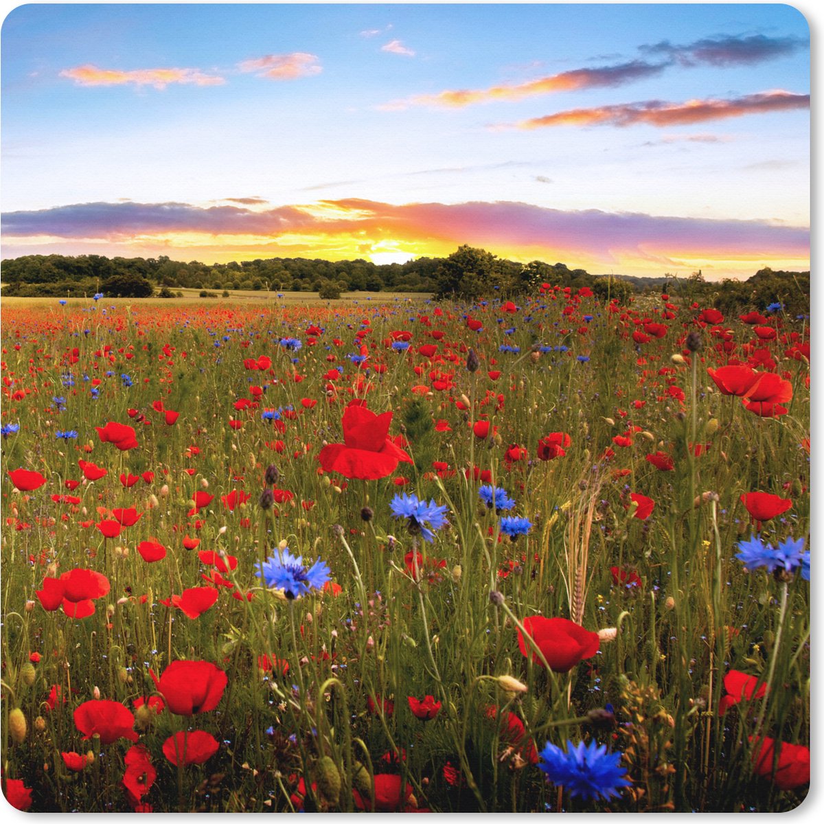 Muismat XXL 50x50 cm - Bureau onderlegger - Bureau mat Bloemenweide - Klaprozen - Rood - Bureaumat - Gaming mousepad xl - Bureaulegger groot - Computer deskmat