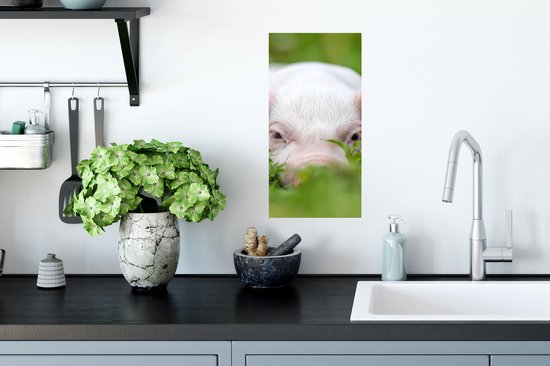 Poster Cochon - Animaux - Grand - 20x40 cm