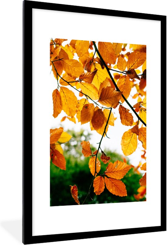 Cadre photo avec affiche - Feuilles d'automne - Arbre - Rural - 60x90 cm - Cadre  pour... | bol.com