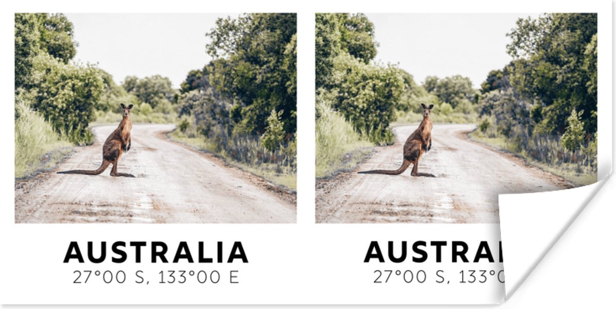 Poster Australië - Kangoeroe - Jungle - 40x20 cm