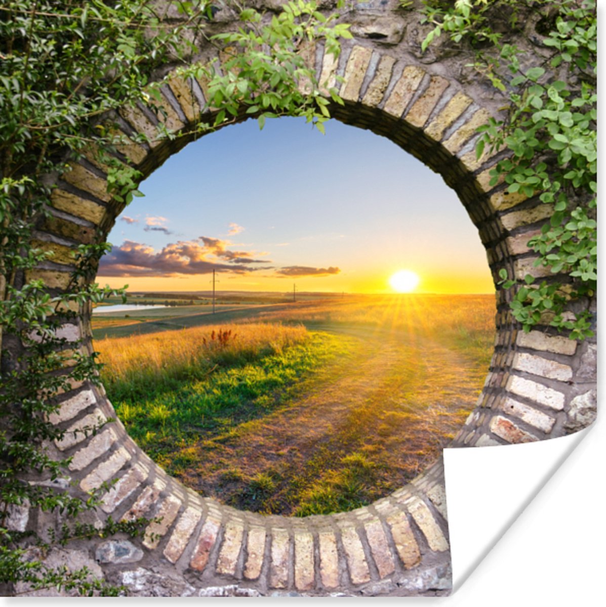Poster Platteland - Doorkijk - Zon - 30x30 cm