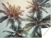Poster Palmboom - Zomer - Tropisch - 40x30 cm