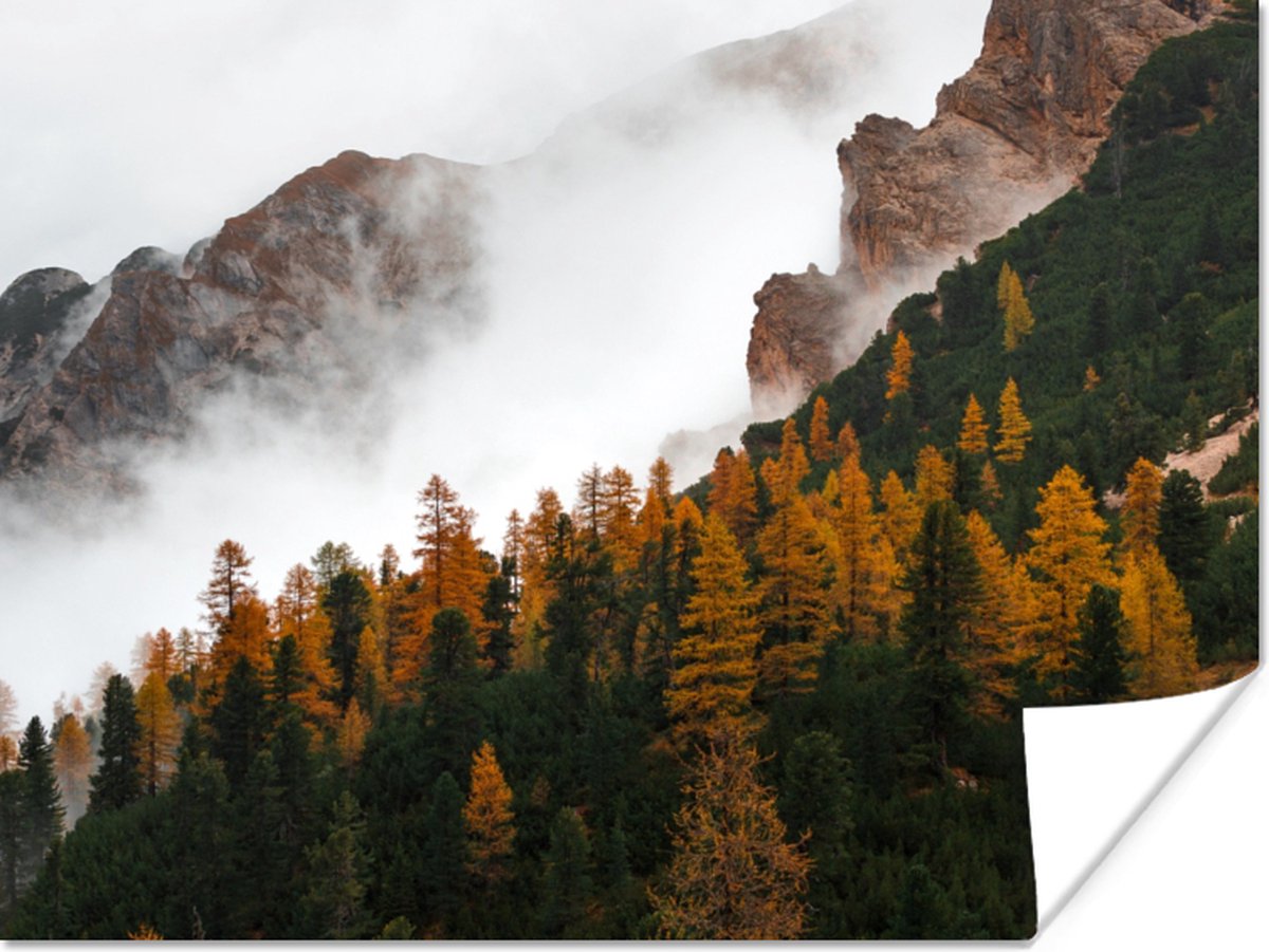 Poster Berg - Mist - Bos - 120x90 cm