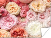 Affiche Fleurs - Roses - Rose - 120x90 cm