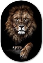 Muurovaal Lion King - WallCatcher | Kunststof 70x105 cm | Ovalen schilderij | Wandovaal Leeuwenkoning op Forex