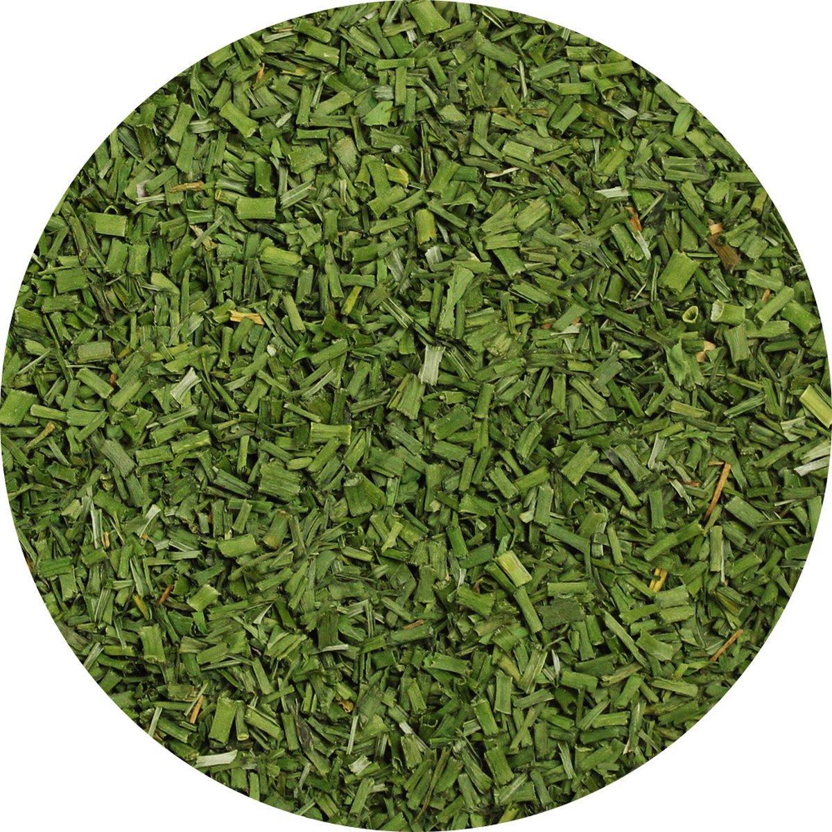Goedkoopste Van Beekum Specerijen - Bieslook Tubulair - 3 KG - Zak (bulk verpakking