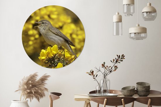 Fitis sur fleurs jaunes Assiette en plastique cercle mural ⌀ 120 cm - impression photo sur cercle mural / cercle vivant (décoration murale) XXL / Groot format!