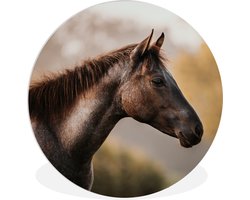 WallCircle - Wandcirkel ⌀ 30 - Paard - Bos - Portret - Ronde schilderijen woonkamer - Wandbord rond - Muurdecoratie cirkel - Kamer decoratie binnen - Wanddecoratie muurcirkel - Woonaccessoires