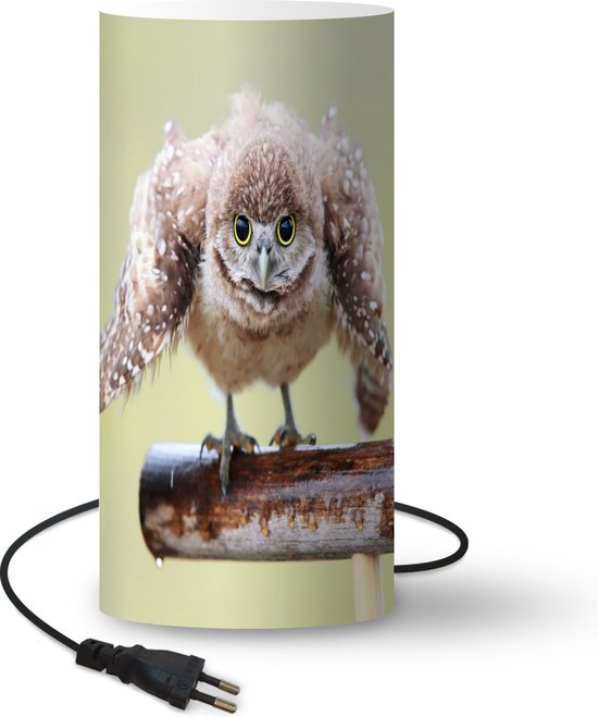 Lampe 3D LED Personnalisable Chouette (ou Autre Modèle) - 16 Couleurs, Nom/Message Gravés - Lampe De Chevet Ambiance, Fabriqué En France - 8