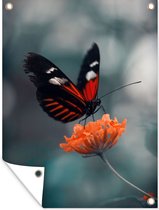 Tuinposter - Vlinder - Bloem - Natuur - Tuindoek - 60x80 cm - Tuinposter vlinder