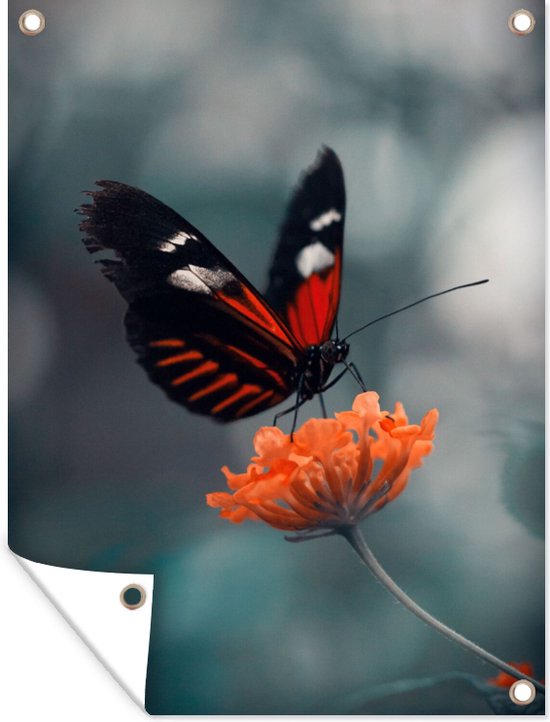 Tuinposter - Vlinder - Bloem - Natuur - Tuindoek - 60x80 cm - Tuinposter vlinder