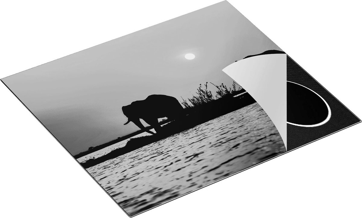 Chefcare Inductie Beschermer Twee Olifanten aan het Water bij Zonsondergang - Zwart Wit - 60x55 cm - Afdekplaat Inductie - Kookplaat Beschermer - Inductie Mat