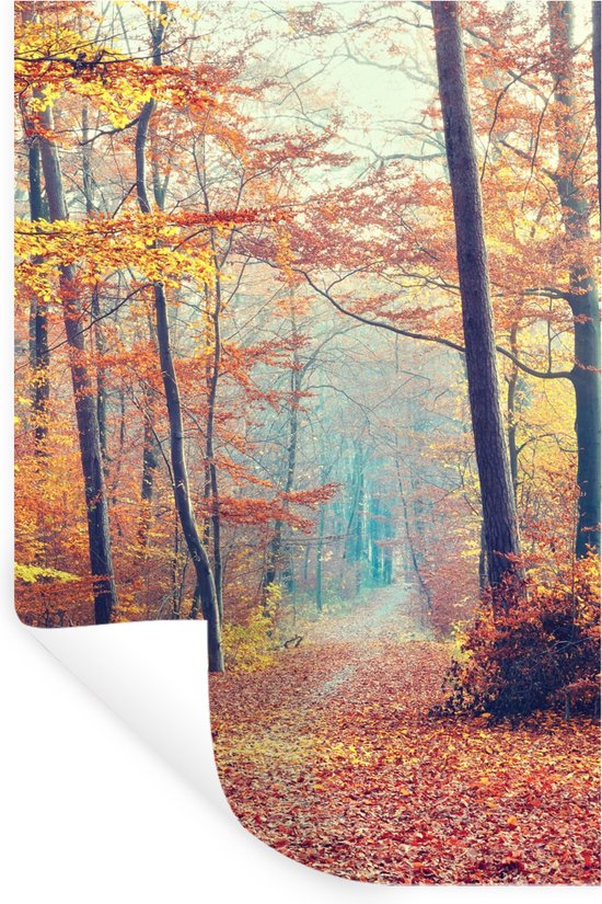 Muursticker rond bomen bos MS-R6