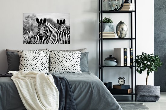 Poster Zebra - Zwart - Wit - Animaux - 90x60 cm
